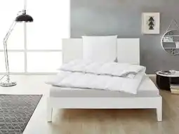 Lidl Balette Daunen-Kassettendecke Premium Selection Angebot
