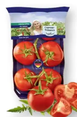Scheck-in-Center SanLucar Strauchtomaten Angebot