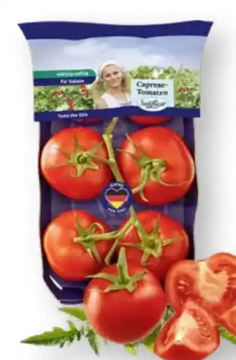 Scheck-in-Center SanLucar Strauchtomaten Angebot