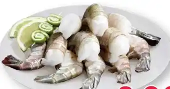 Scheck-in-Center King Prawns Angebot