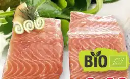 Scheck-in-Center Bio-Lachsfilet Angebot