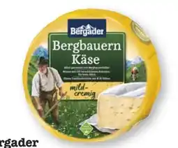 Scheck-in-Center Bergader Bergbauern Käse mild-cremig Angebot