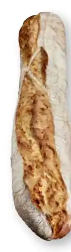 Scheck-in-Center Scheck-in Bäckerei Dinkel Steinofenbaguette Angebot