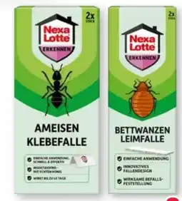 Scheck-in-Center Nexa Lotte Ameisen Klebefalle Angebot