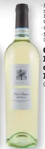 Scheck-in-Center Corte Olivi Pinot Grigio delle Venezie Angebot
