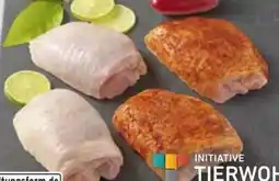 Edeka Pollo Fino Angebot