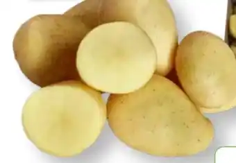 Edeka Edeka Bio Frühkartoffeln Drillinge Angebot