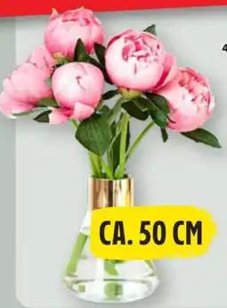 Edeka Pfingstrosenstrauß Premium Angebot