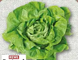 nahkauf Rewe Regional Kopfsalat Angebot