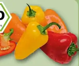 REWE Center Rewe Bio Snack Paprika Angebot