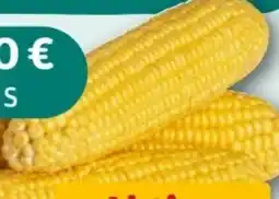 REWE Center Rewe Beste Wahl Zuckermais Angebot