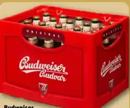 REWE Center Budweiser Budvar (CZ) Czech Premium Lager Angebot