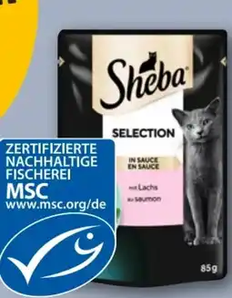 REWE Center Sheba Selection in Sauce Angebot