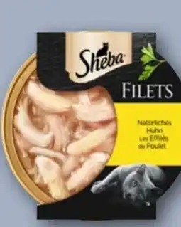 REWE Center Sheba Schale Filets Angebot