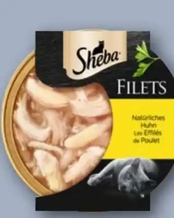REWE Center Sheba Schale Filets Angebot