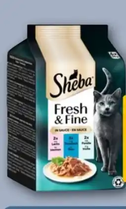REWE Center Sheba Fresh & Fine Angebot