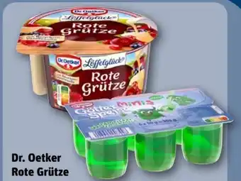 REWE Dr. Oetker Rote Grütze mit Vanillesoße Angebot