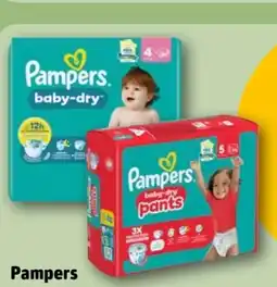 REWE Pampers Baby Dry Pants Single Pack Angebot