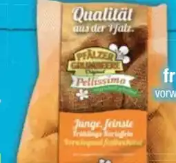 E-Center Pfälzer Grumbeere Speisefrühkartoffeln Angebot