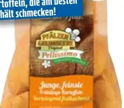 Edeka Pfälzer Grumbeere Speisefrühkartoffeln Pellissimo Angebot