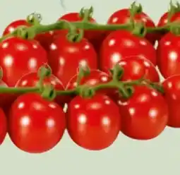 Edeka Xpress Cherry Rispentomaten Angebot