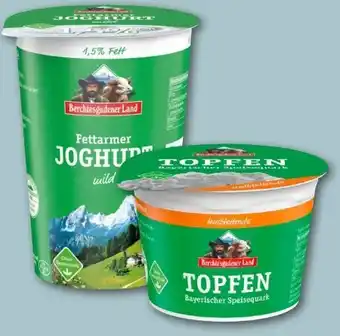REWE Center Berchtesgadener Land Fettarmer Joghurt Angebot