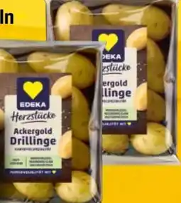EDEKA Bandelt Edeka Herzstücke Speisekartoffeln Ackergold Drillinge Angebot