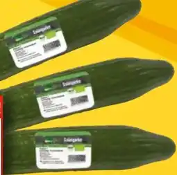 EDEKA Bandelt Edeka Bio Bio-Salatgurke Angebot