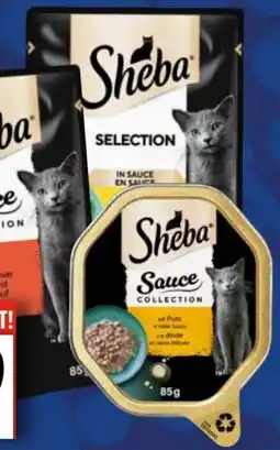 EDEKA Bandelt Sheba Katzennassnahrung Angebot