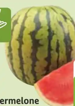 Edeka Bio-Mini-Wassermelone Angebot