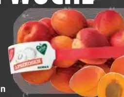 Edeka Gut & Günstig Aprikosen Angebot