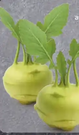 Edeka Kohlrabi Angebot