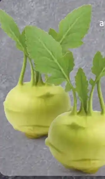 Edeka Kohlrabi Angebot
