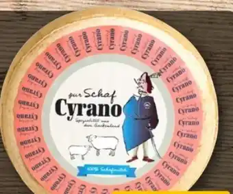 REWE Center Hamburger Käselager Cyrano Pur Schaf Angebot