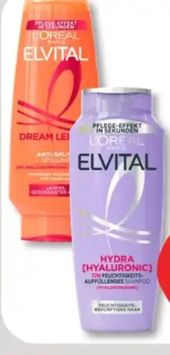 Budni L'Oréal Paris Elvital Shampoo Angebot