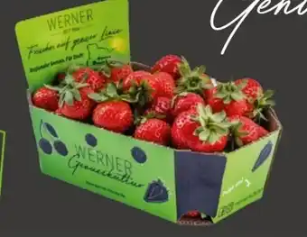 REWE Center Werner Genusskultur Erdbeeren Angebot