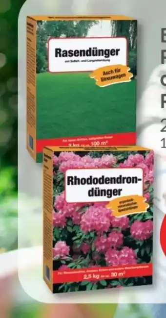 Budni Beckmann Rhododendrondünger Angebot