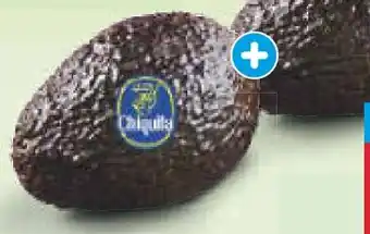 Netto Marken-Discount Chiquita Apeel Avocado Hass Angebot