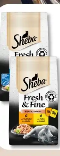 Budni Sheba Katzennahrung Fresh & Fine Angebot
