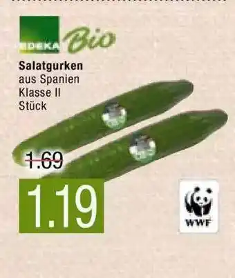 Marktkauf Edeka Bio Salatgurken Angebot