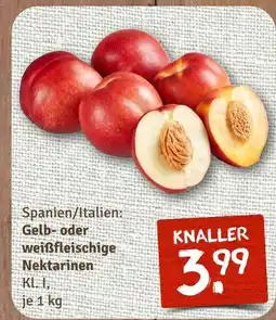 nahkauf Gelb- oder weißfleischige nektarinen Angebot