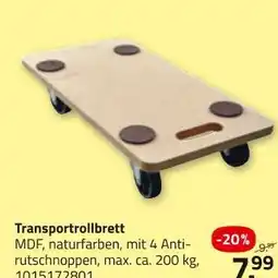 ROLLER Transportrollbrett Angebot