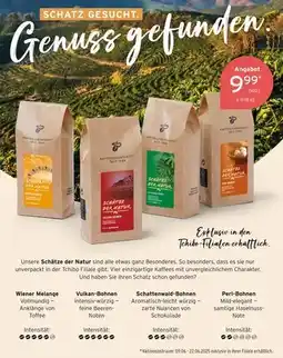 Tchibo Tchibo wiener melange Angebot