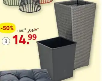 ROLLER Pflanzkübel Angebot