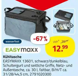 ROLLER Easymaxx kühltasche Angebot