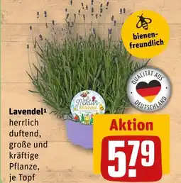 REWE Nektar mania lavendel Angebot