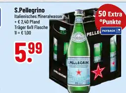 trinkgut S.pellegrino mineralwasser Angebot