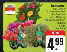 E-Center Fränken bauerngarten Angebot