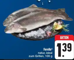 E-Center Forelle² Angebot