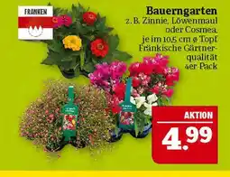 Marktkauf Franken bauerngarten Angebot